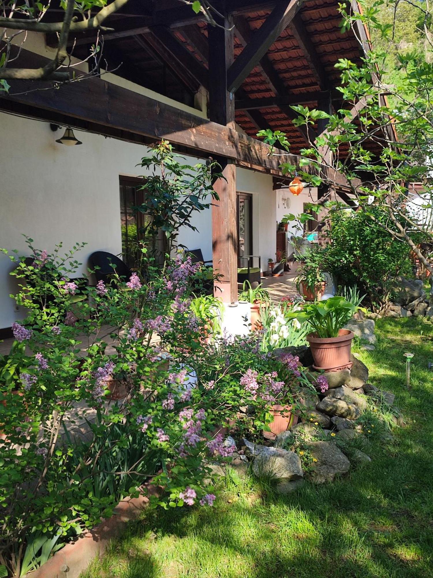 Pensiunea La Dolce Vita Băile Herculane Exteriör bild