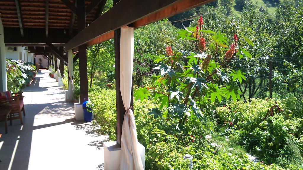 Pensiunea La Dolce Vita Băile Herculane Exteriör bild